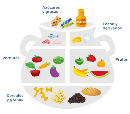 Modelo de alimentación saludable: olla con cereales, frutas, verduras, leche, proteínas, azúcares y grasas